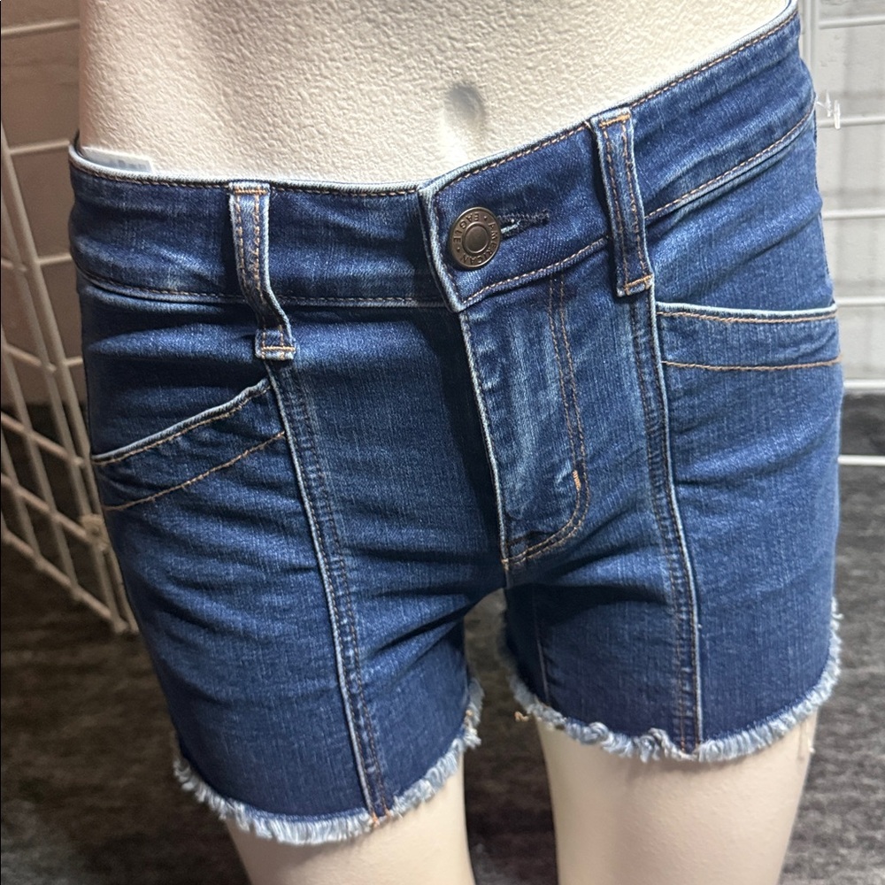 American Eagle Outfitters Dark Blue Jean Shorts SZ 2